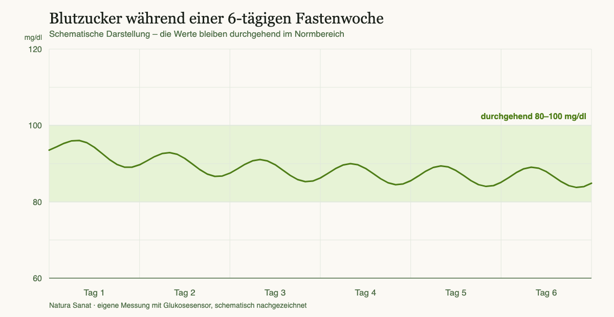 Blutzuckerverlauf während einer sechstägigen Fastenwoche – die Werte bleiben zwischen 80 und 100 mg/dl