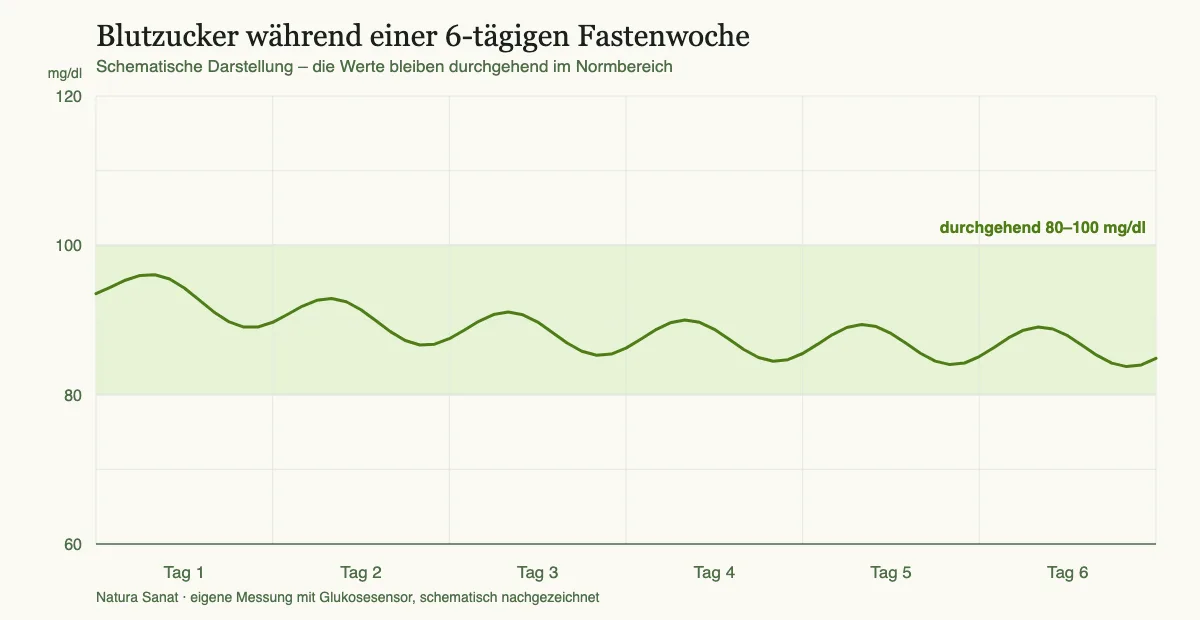 Blutzuckerverlauf während einer sechstägigen Fastenwoche – die Werte bleiben zwischen 80 und 100 mg/dl