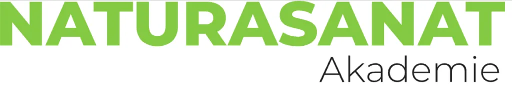 Online Fastenkurs