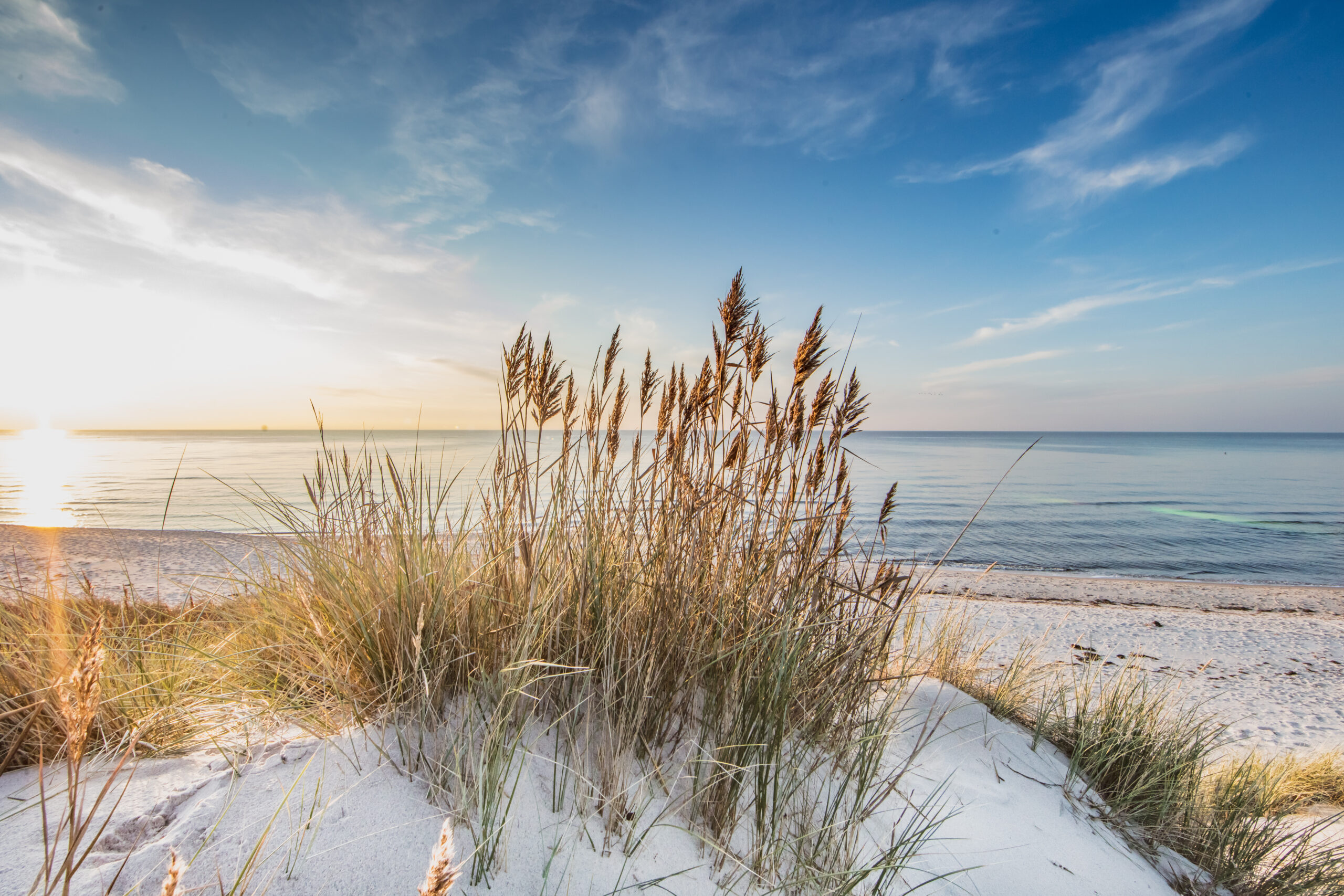 Wellnessfasten an der Ostsee: Kraft tanken für Körper, Geist und Immunsystem