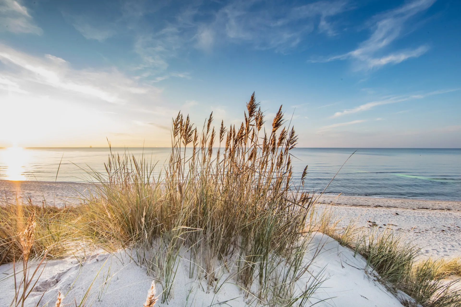 Wellnessfasten an der Ostsee: Kraft tanken für Körper, Geist und Immunsystem